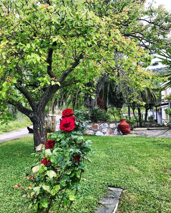 Pansion Episkopi Studios Скопелос Экстерьер фото