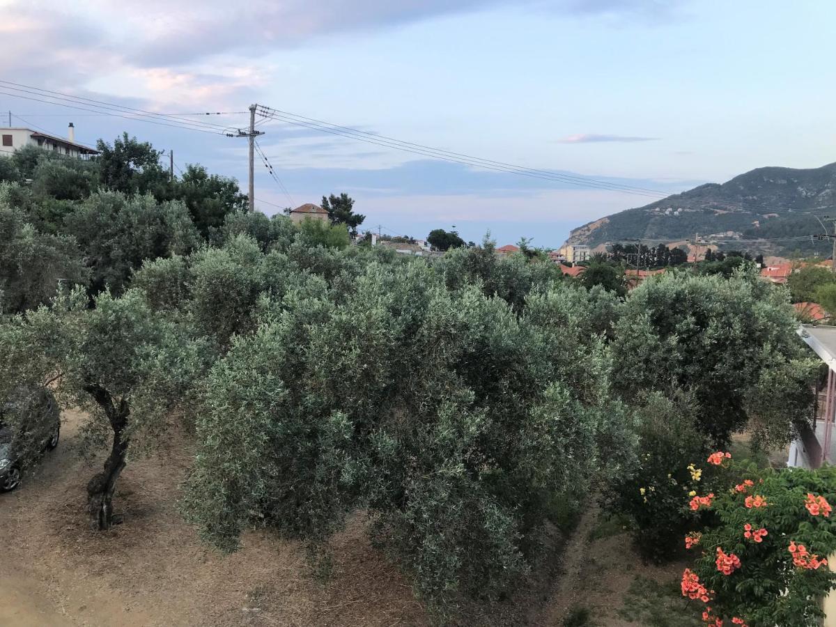 Pansion Episkopi Studios Скопелос Экстерьер фото