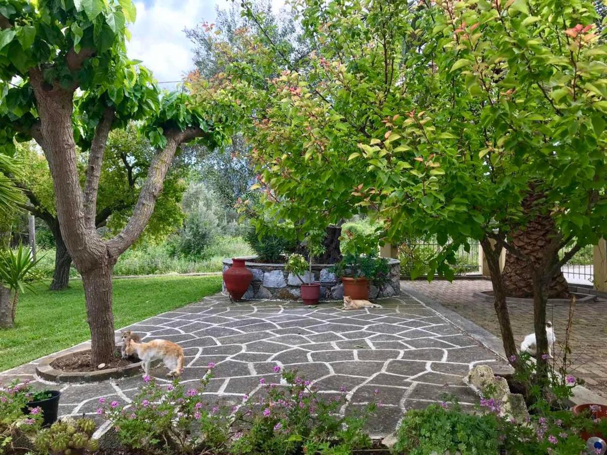 Pansion Episkopi Studios Скопелос Экстерьер фото