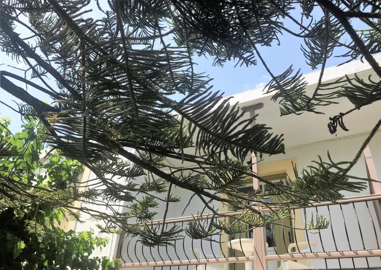 Pansion Episkopi Studios Скопелос Экстерьер фото