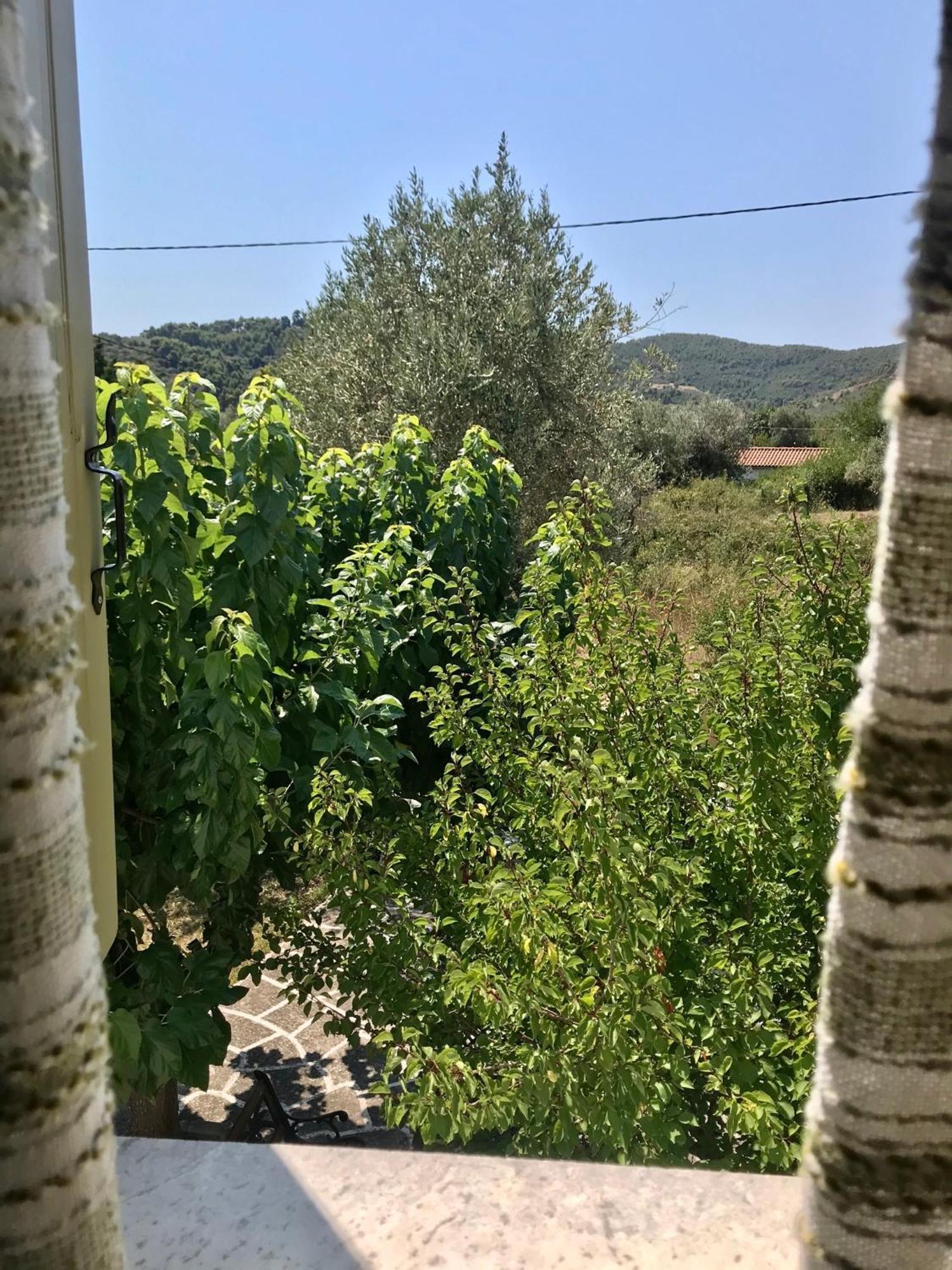 Pansion Episkopi Studios Скопелос Экстерьер фото