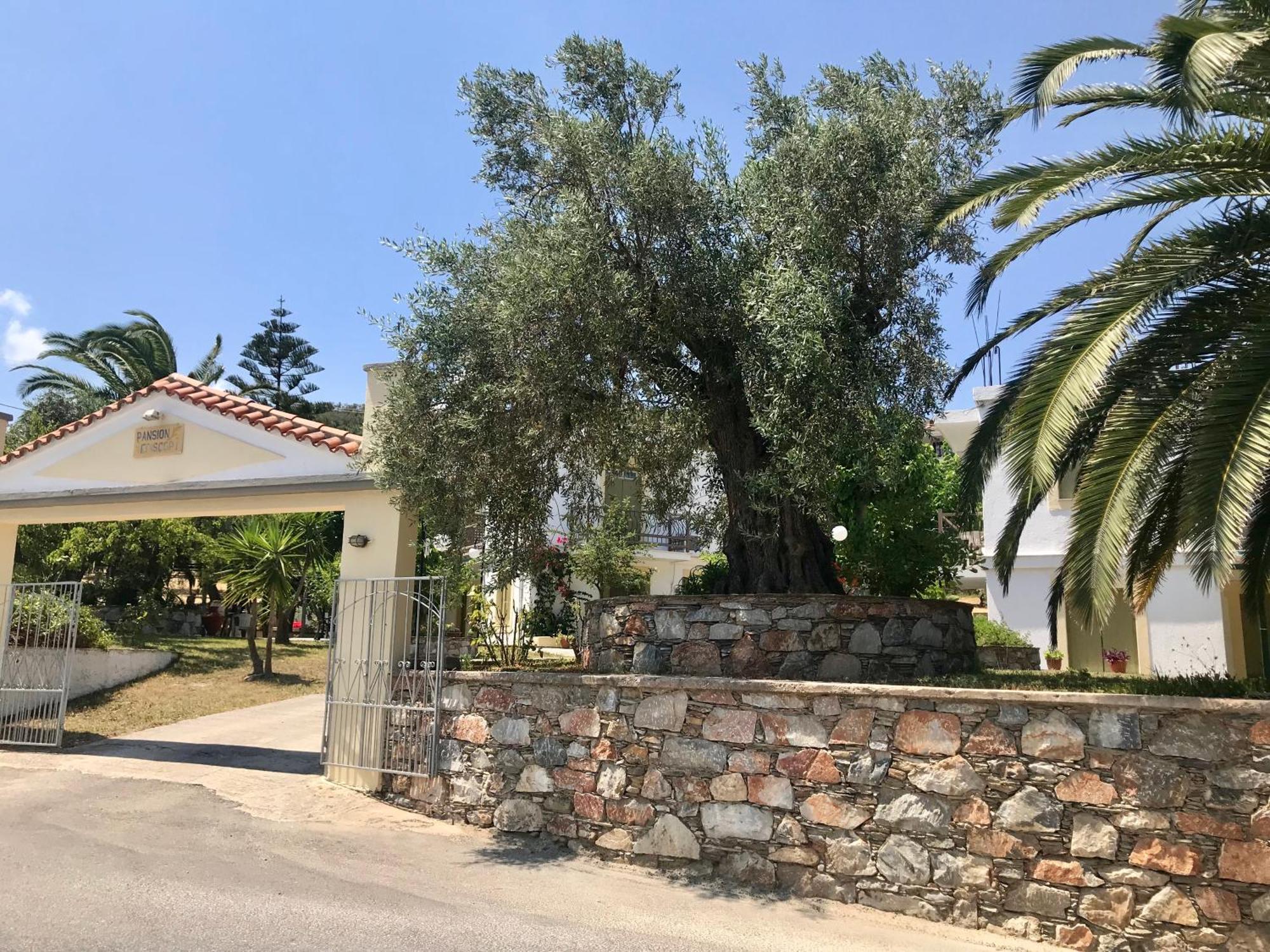 Pansion Episkopi Studios Скопелос Экстерьер фото